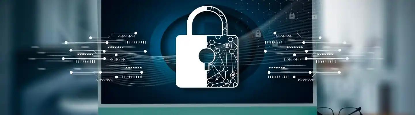 Cybersecurity and Data privacy